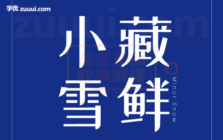 站酷小薇LOGO体字体免费下载 | 简洁与现代设计的标识字体-字优 - 打造创意设计的无限可能