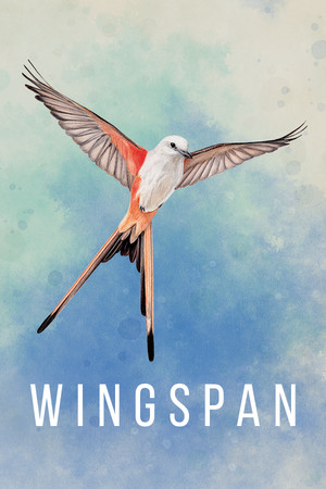 展翅翱翔/WINGSPAN 免费下载:170种鸟类的引擎构筑策略桌游-宝藏秀